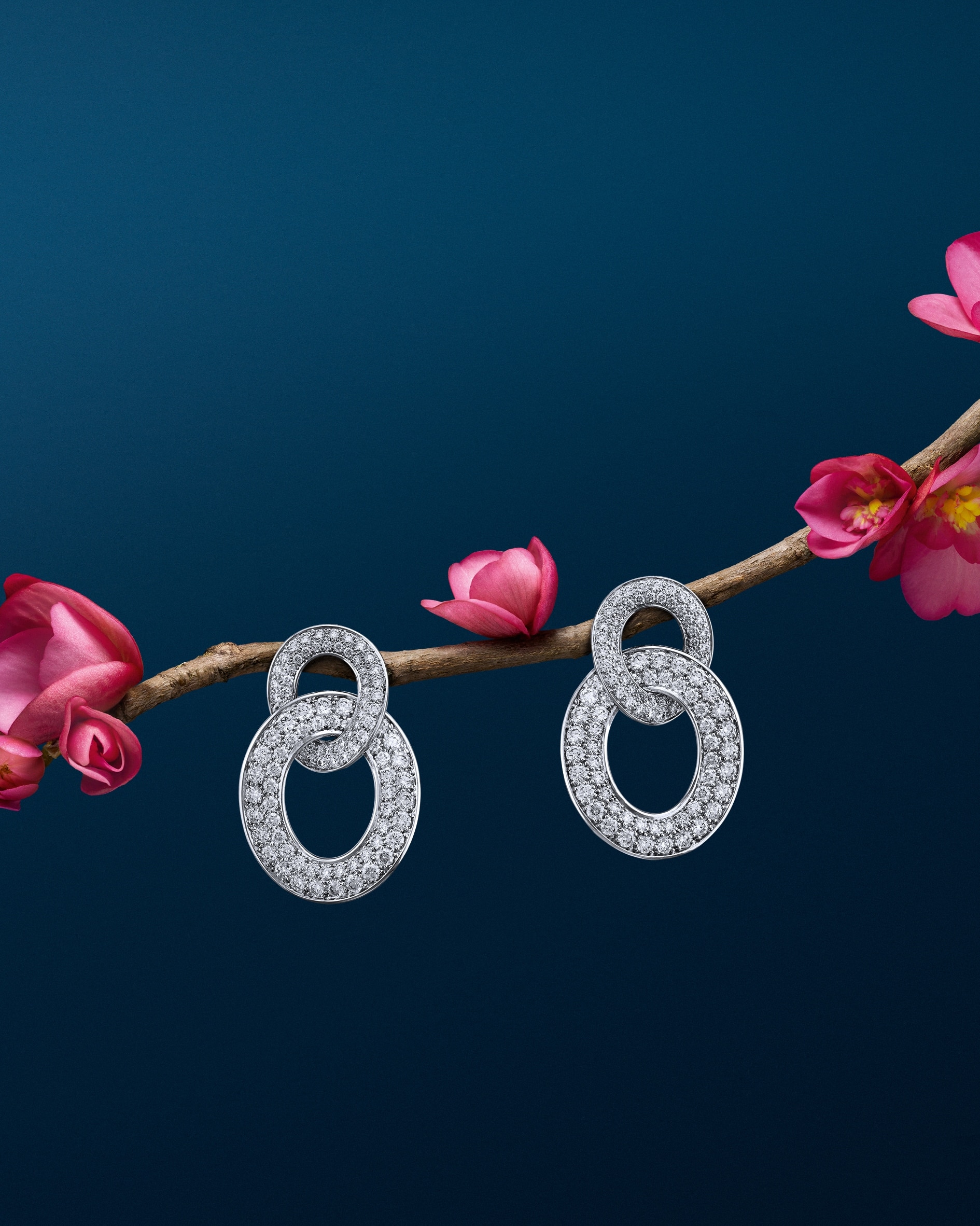 Olympia 耳環,18K白金,鑽石。Olympia 高級珠寶系列,Van Cleef & Arpels 梵克雅寶。