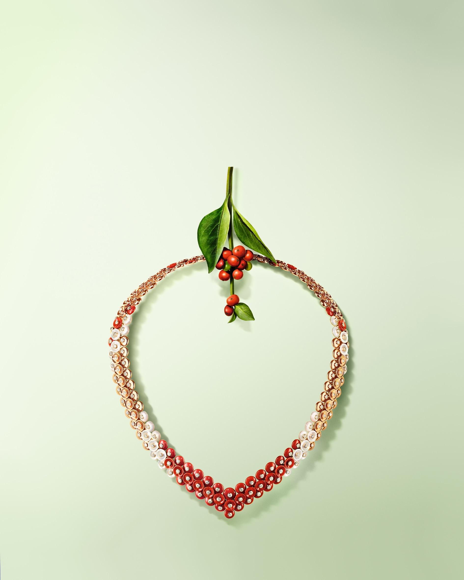 Entdecken Sie die Kollektion