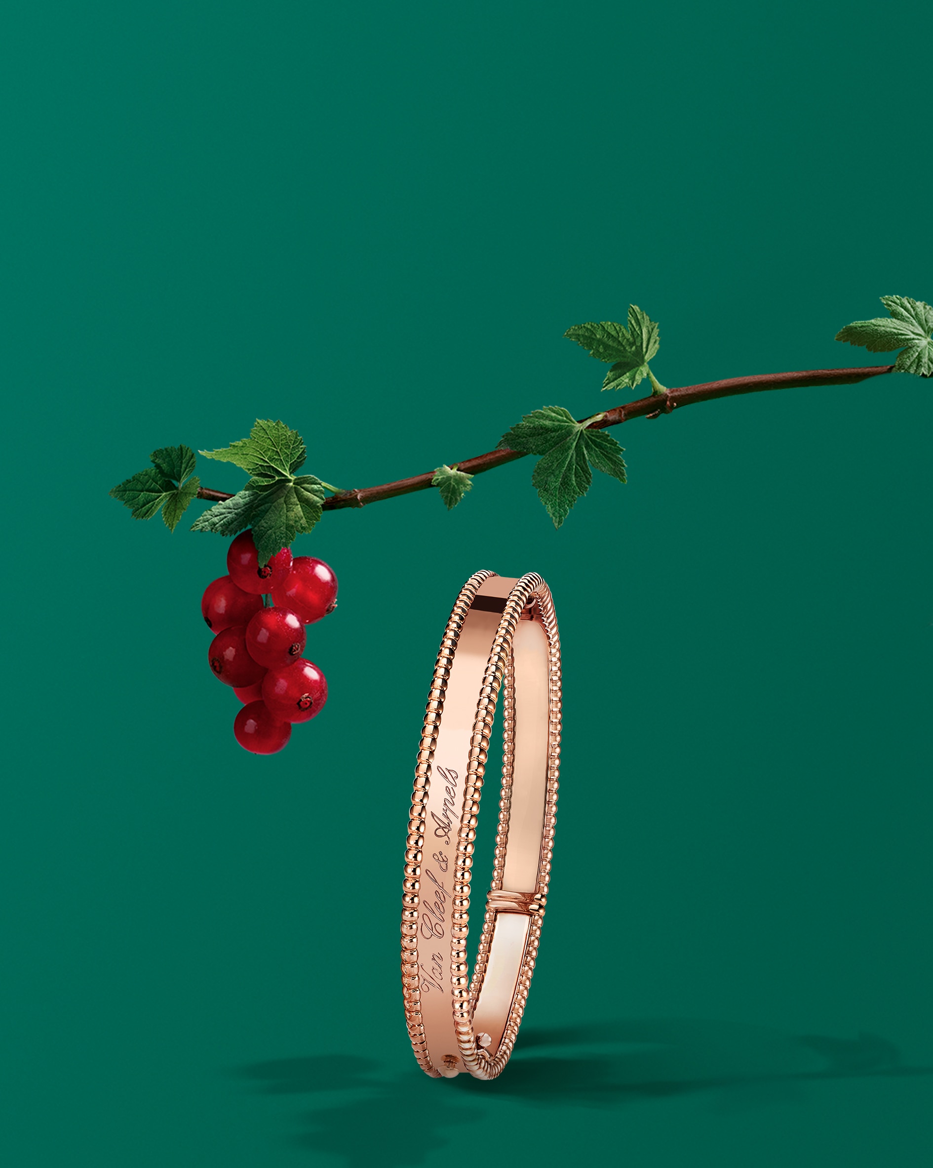 Perlée系列,Van Cleef & Arpels梵克雅寶。
